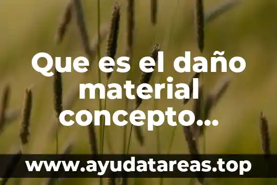 Que es el daño material concepto segun la unam