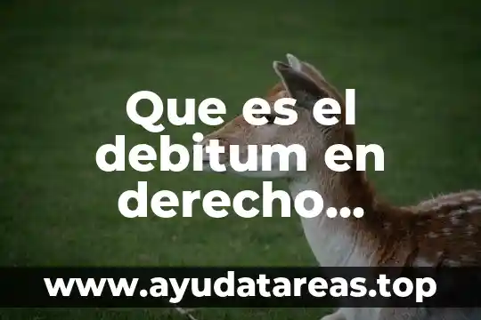 Que es sucesion y los tipos en derecho romano 3 Que es el debitum en derecho romano