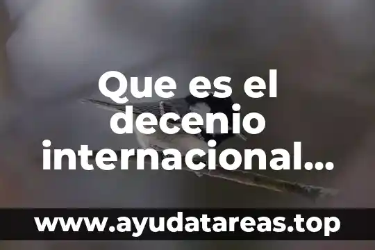 Ac2 ac3 que es en comercio internacional 5 Que es el decenio internacional afrodescendiente