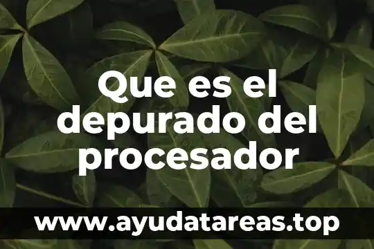 Que es procesador de texto tipos 3 Que es el depurado del procesador