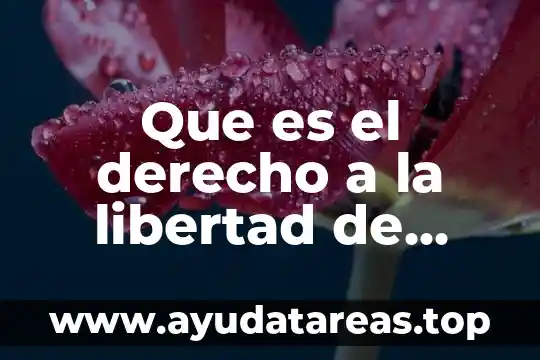 Que es el derecho a la libertad de tránsito