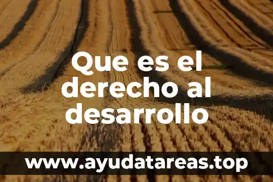 Qué es número de volante oficios 7 Que es el derecho al desarrollo