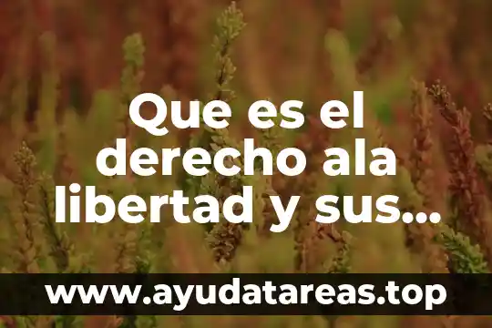 Que es la libertad segun la teologia 3 Que es el derecho ala libertad y sus desafios