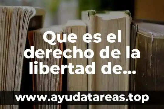 Que es el derecho de la libertad de asociacion profesional