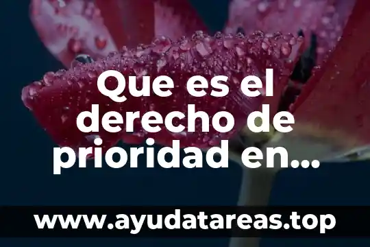 Qué es teoría de la educación 5 Que es el derecho de prioridad en educacion