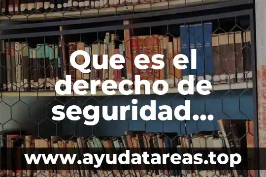 Que es el derecho de seguridad social en mexico