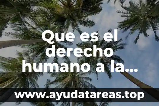 Que es el derecho humano a la salud
