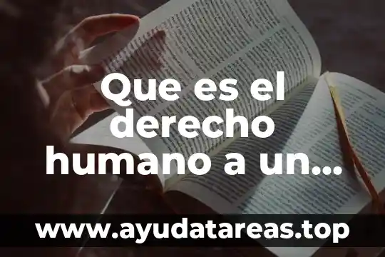 Que es efectivo contra los pokemon tipo fuego 4 Que es el derecho humano a un recurso efectivo
