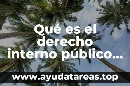 Qué es el derecho interno público constitucional