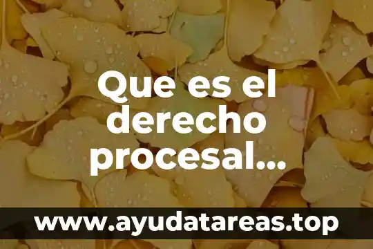 Que es el principio de definitividad procesal 5 Que es el derecho procesal constitucional orgánico en Bolivia