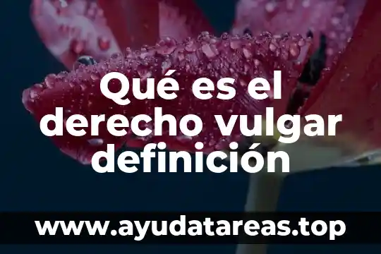Que es un bloster de agua 5 Qué es el derecho vulgar definición