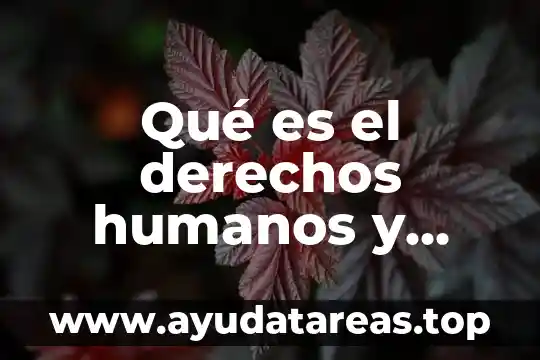 Que es nombre en la comision de los derechos humanos 7 Qué es el derechos humanos y pluralidad