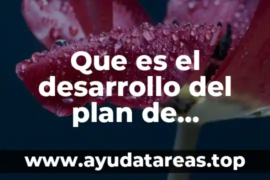 Que es el desarrollo del plan de supervicion