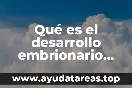 Que es el magnesio en el ser humano 7 Qué es el desarrollo embrionario humano