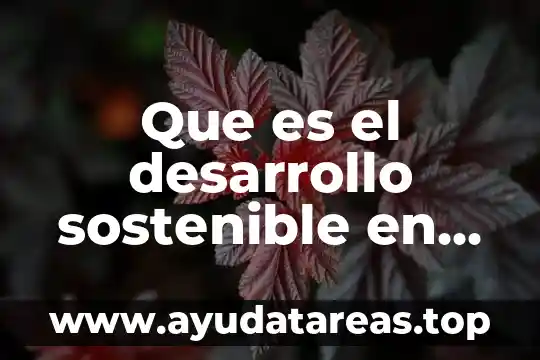 Que es desarrollo sostenible segun autores 7 Que es el desarrollo sostenible en las empresas