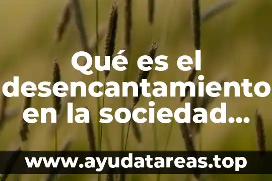 Qué es el desencantamiento en la sociedad moderna