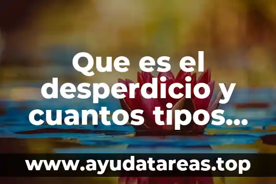 Que es una entrevista y cuantos tipos hay 4 Que es el desperdicio y cuantos tipos hay