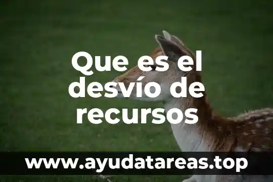 Que es un planeta enano definicion 5 Que es el desvío de recursos