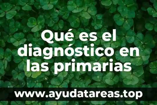 Diagnóstico topográfico ejemplos que es 5 Qué es el diagnóstico en las primarias