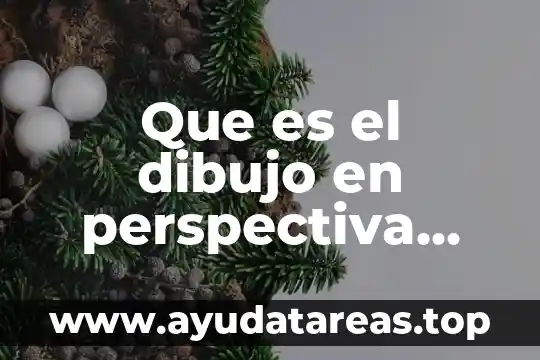 Que es el dibujo en perspectiva presi