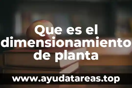 Que es una planta un corte y un alzado 8 Que es el dimensionamiento de planta