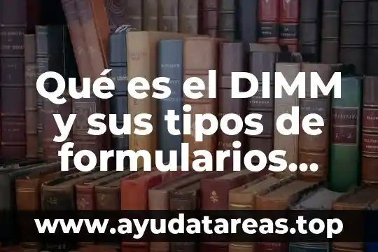 Que es una suelo y sus tipos 7 Qué es el DIMM y sus tipos de formularios utilizados