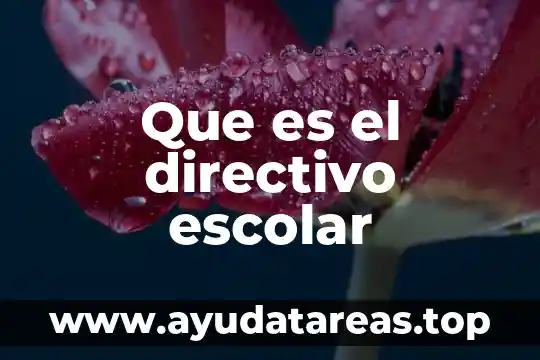 Que es el directivo escolar