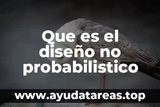 Que es el diseño no probabilistico
