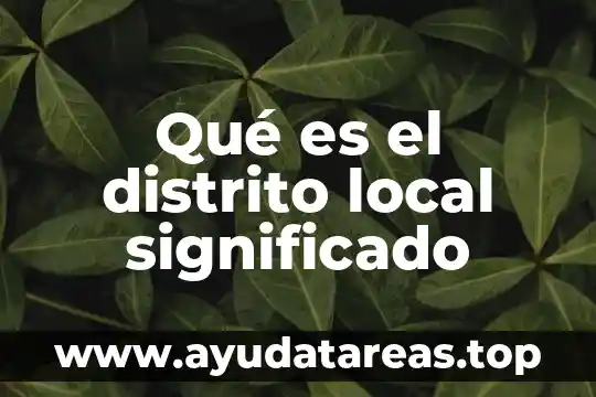 Qué es desarrollo de base desarrollo local 5 Qué es el distrito local significado