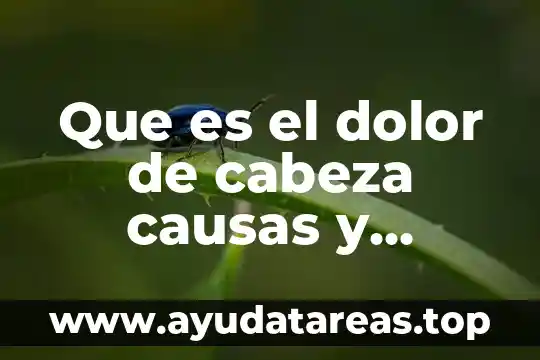 Que es ser cabeza de familia 5 Que es el dolor de cabeza causas y consecuencias