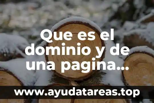 Que es el dominio y de una pagina web