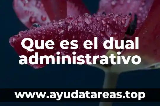Que es un recurso de revocacion o administrativo 6 Que es el dual administrativo