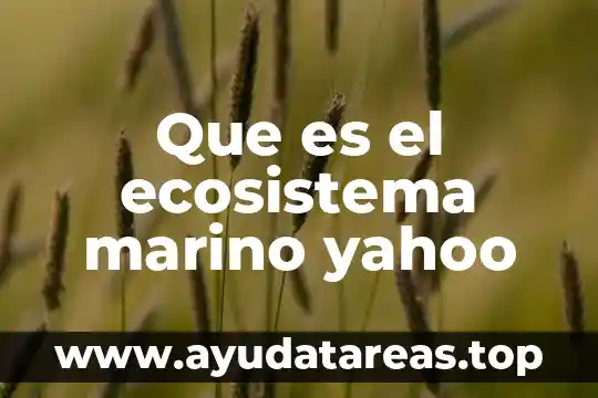 Qué es flujo de energía en el ecosistema 5 Que es el ecosistema marino yahoo