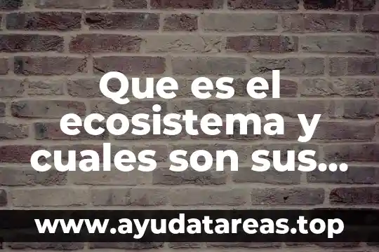 Qué es flujo de energía en el ecosistema 7 Que es el ecosistema y cuales son sus son sus componentes