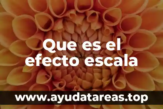 Efecto warburg que es 3 Que es el efecto escala