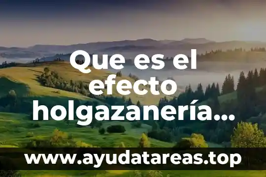 Que es una gotera de agua 3 Que es el efecto holgazanería social