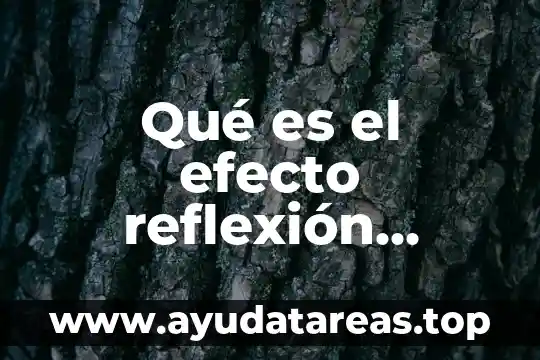 Qué es el efecto reflexión acústica