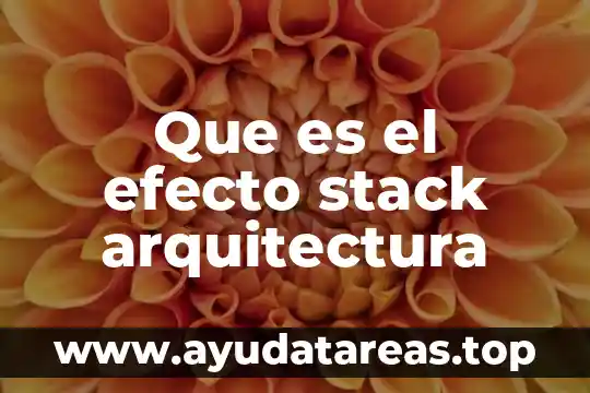 Qué es n i la arquitectura 8 Que es el efecto stack arquitectura
