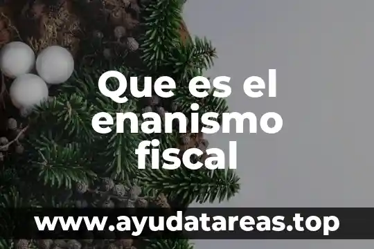 Que es el enanismo fiscal