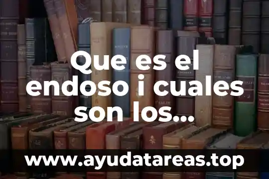 Que es el endoso i cuales son los requisotos