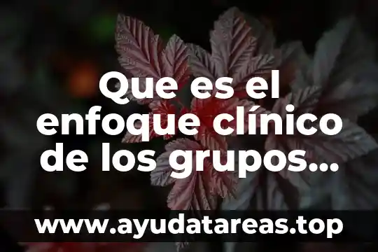 Que es archivo clinico de un hospital 4 Que es el enfoque clínico de los grupos naturales