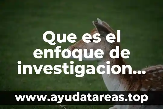 Que es observacion tecnica de investigacion 5 Que es el enfoque de investigacion mixta