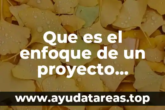 Que es el enfoque de un proyecto economico