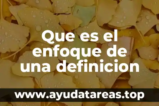 Que es el enfoque de una definicion