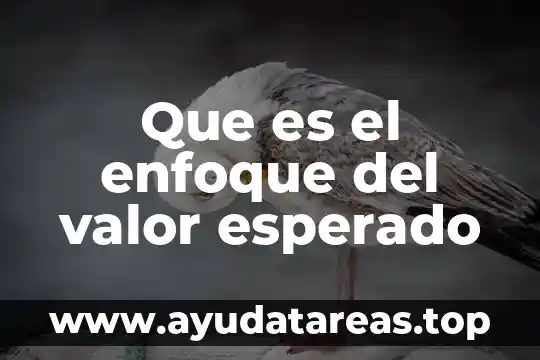 Que es el enfoque del valor esperado