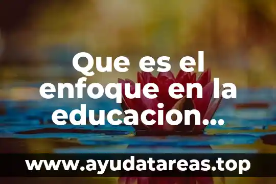 Que es el programa nacional de educacion 2001 al 2006 5 Que es el enfoque en la educacion primaria