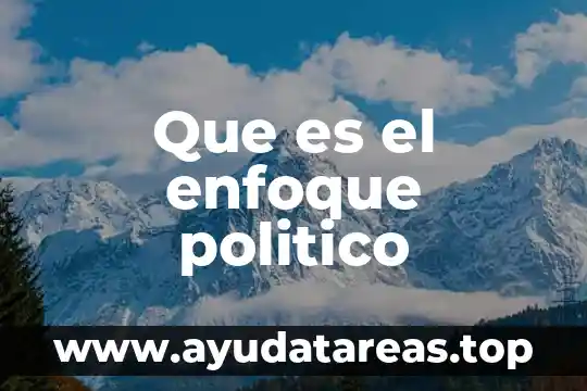 Que es el enfoque politico