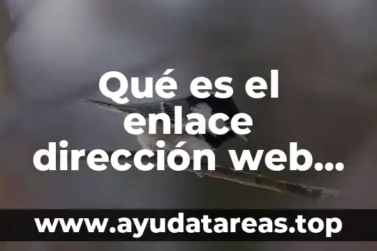 Que es el uri en el sitio web 4 Qué es el enlace dirección web a tu biografía