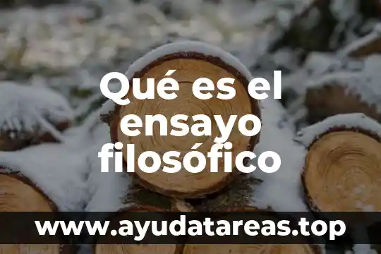 Que es justificado en un ensayo 8 Qué es el ensayo filosófico
