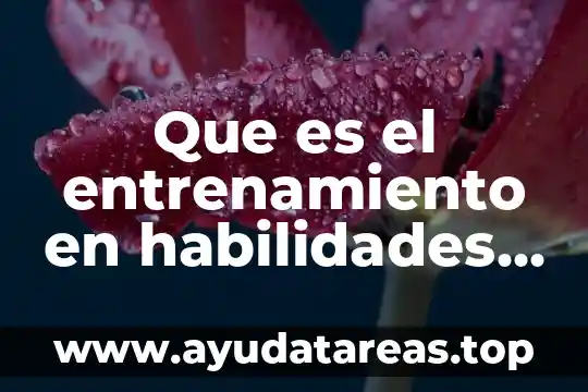 Que es el entrenamiento en habilidades sociales